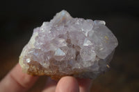 Natural Spirit Amethyst Cactus Quartz Clusters x 12 From Boekenhouthoek, South Africa - Toprock Gemstones and Minerals