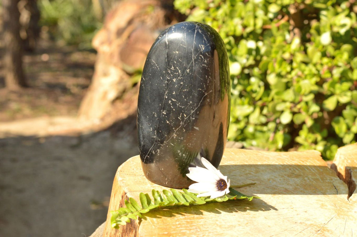 Polished Black Schorl Tourmaline Standing Free Form x 1 From Madagascar - TopRock