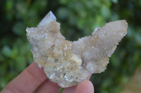 Natural Spirit Amethyst Quartz Clusters  x 12 From Boekenhouthoek, South Africa - Toprock Gemstones and Minerals