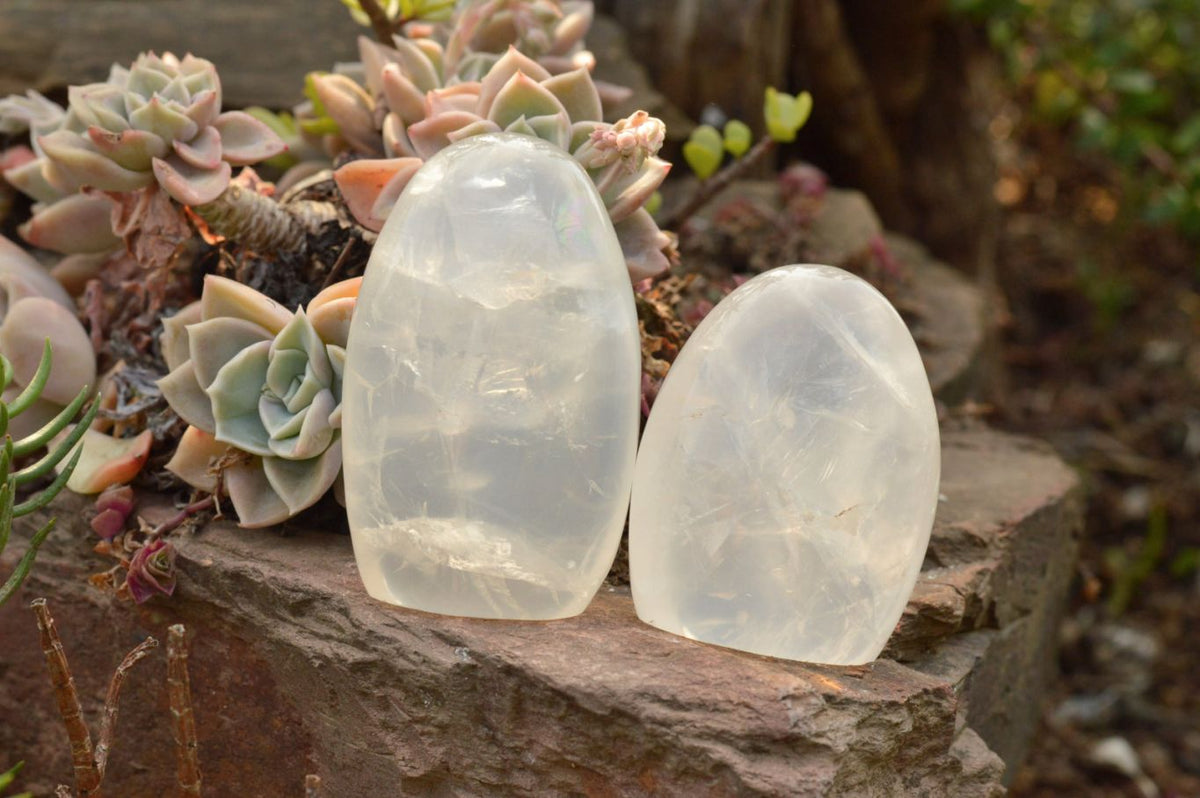 Polished Small Optic Girasol Pearl Quartz Standing Free Forms x 6 From Madagascar - TopRock
