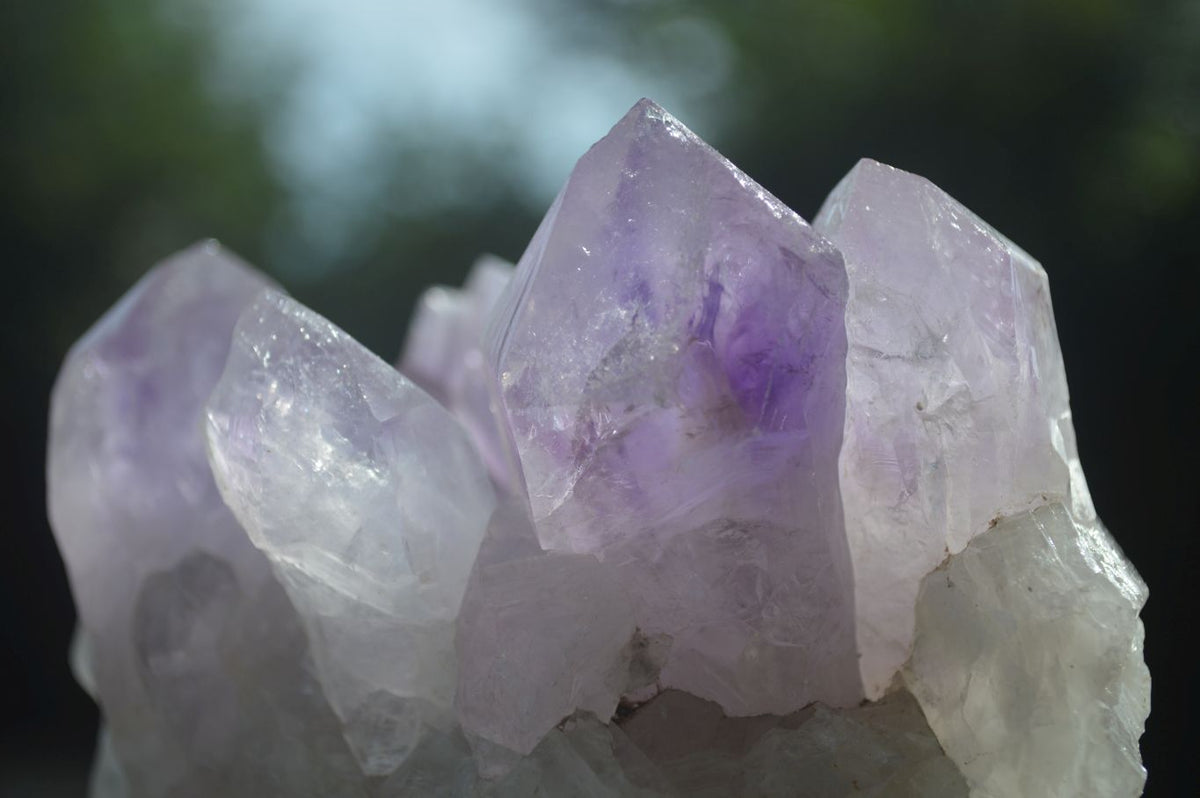 Natural Single Red Hematoid Phantom Quartz Crystals x 63 From Karoi, Zimbabwe - TopRock