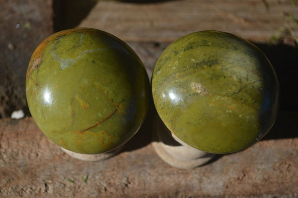 Polished Large Green Opal Palm Stones  x 12 From Madagascar - Toprock Gemstones and Minerals 