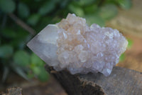 Natural Spirit Amethyst Quartz Clusters  x 12 From Boekenhouthoek, South Africa - Toprock Gemstones and Minerals