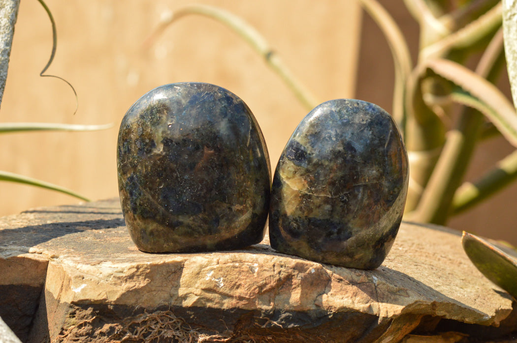 Polished Rare Blue Iolite / Water Sapphire Standing Free Forms x 6 From Madagascar - TopRock