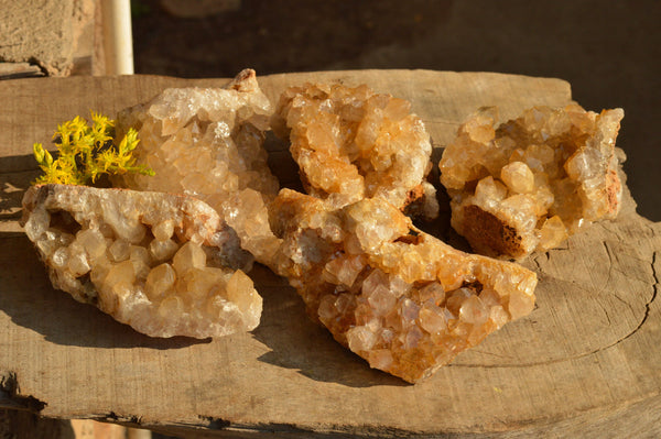 Natural Golden Limonite / Lemonite Quartz Clusters  x 5 From Solwezi, Zambia - TopRock