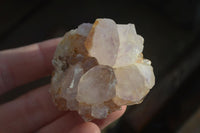 Natural Spirit Amethyst Cactus Quartz Clusters x 12 From Boekenhouthoek, South Africa - Toprock Gemstones and Minerals