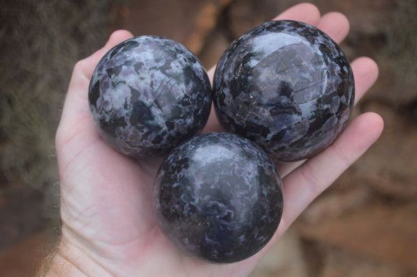 Polished Merlinite Gabbro Spheres  x 4 From Madagascar - Toprock Gemstones and Minerals 