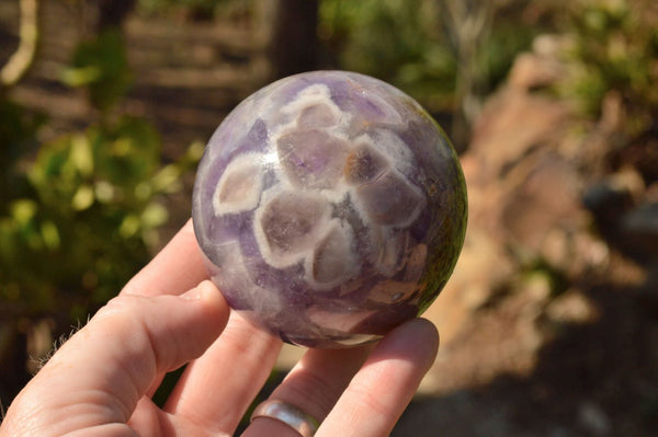 Polished Dream Amethyst Spheres With Smokey-White Patterns  x 3 From Madagascar - TopRock