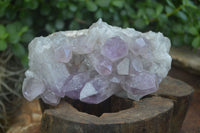 Natural Jacaranda Amethyst Clusters  x 2 From Zambia - Toprock Gemstones and Minerals