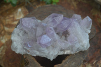 Natural Jacaranda Amethyst Clusters  x 2 From Zambia - Toprock Gemstones and Minerals