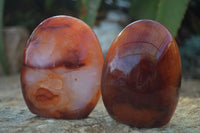 Polished Carnelian Agate Standing Free Forms  x 6 From Madagascar - Toprock Gemstones and Minerals
