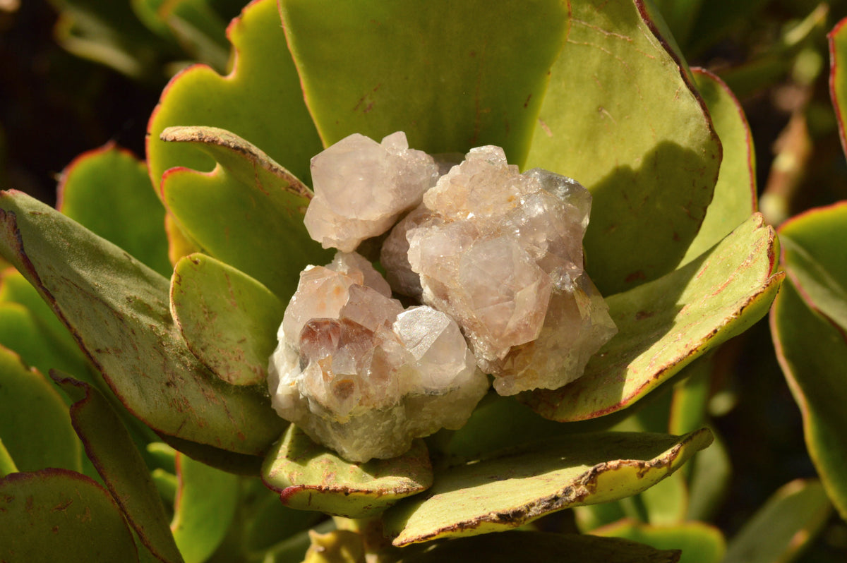 Natural Small Spirit Quartz Clusters x 35 From Southern Africa - TopRock