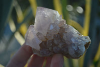 Natural Spirit Amethyst Quartz Clusters  x 12 From Boekenhouthoek, South Africa - Toprock Gemstones and Minerals