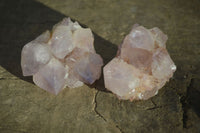 Natural Spirit Amethyst Cactus Quartz Clusters x 12 From Boekenhouthoek, South Africa - Toprock Gemstones and Minerals