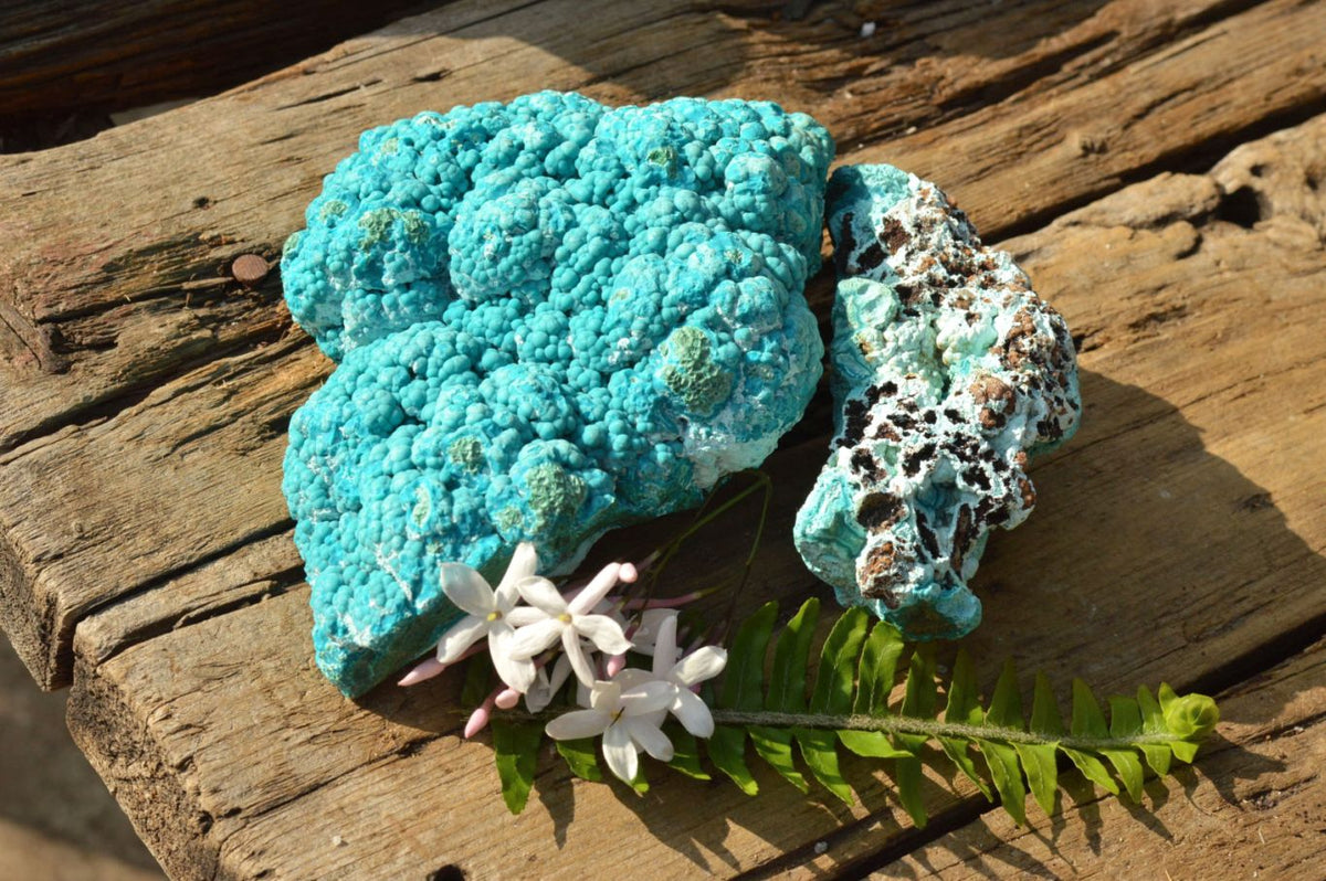 Natural Blue Botryoidal Chrysocolla Specimens x 2 From Kulukuluku, Congo - TopRock