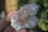 Natural Spirit Amethyst Quartz Clusters  x 12 From Boekenhouthoek, South Africa - Toprock Gemstones and Minerals