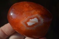 Polished Carnelian Agate Standing Free Forms  x 6 From Madagascar - Toprock Gemstones and Minerals
