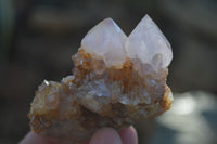 Natural Spirit Amethyst Cactus Quartz Clusters x 12 From Boekenhouthoek, South Africa - Toprock Gemstones and Minerals