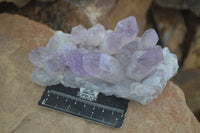 Natural Jacaranda Amethyst Clusters  x 2 From Zambia - Toprock Gemstones and Minerals