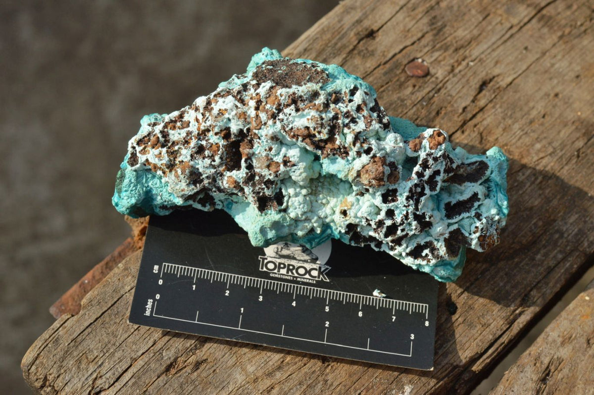 Natural Blue Botryoidal Chrysocolla Specimens x 2 From Kulukuluku, Congo - TopRock