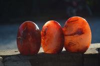 Polished Carnelian Agate Standing Free Forms  x 6 From Madagascar - Toprock Gemstones and Minerals