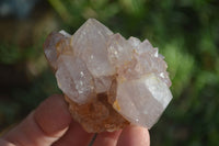 Natural Spirit Amethyst Cactus Quartz Clusters x 12 From Boekenhouthoek, South Africa - Toprock Gemstones and Minerals
