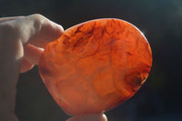 Polished Carnelian Agate Standing Free Forms  x 6 From Madagascar - Toprock Gemstones and Minerals