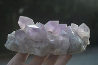 Natural Jacaranda Amethyst Clusters  x 2 From Zambia - Toprock Gemstones and Minerals
