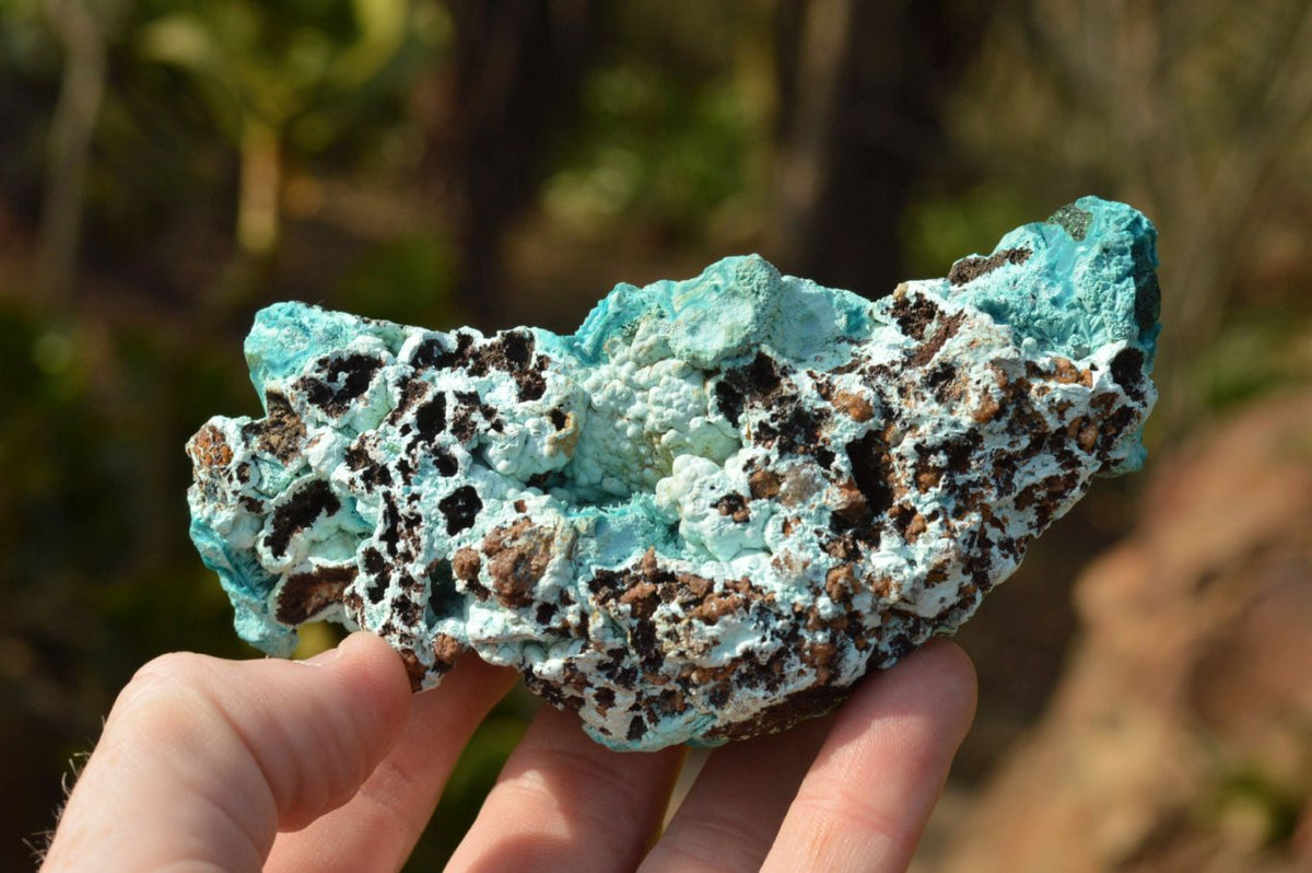 Natural Blue Botryoidal Chrysocolla Specimens x 2 From Kulukuluku, Congo - TopRock