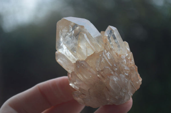 Natural Cascading White Phantom Smokey Quartz Crystals  x 24 From Luena, Congo - Toprock Gemstones and Minerals 