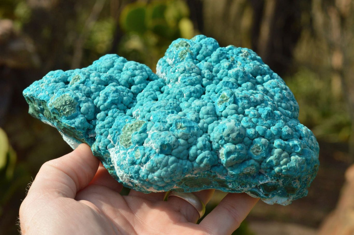 Natural Blue Botryoidal Chrysocolla Specimens x 2 From Kulukuluku, Congo - TopRock