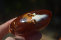 Polished Carnelian Agate Standing Free Forms  x 6 From Madagascar - Toprock Gemstones and Minerals