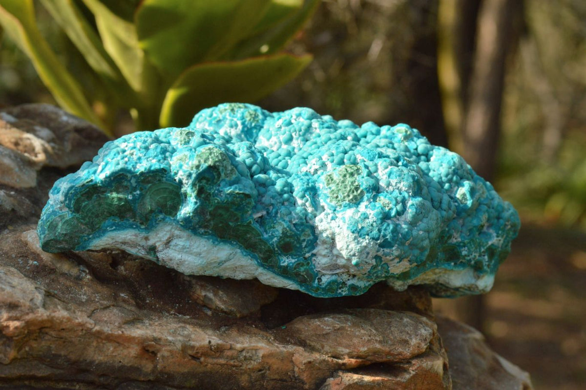 Natural Blue Botryoidal Chrysocolla Specimens x 2 From Kulukuluku, Congo - TopRock