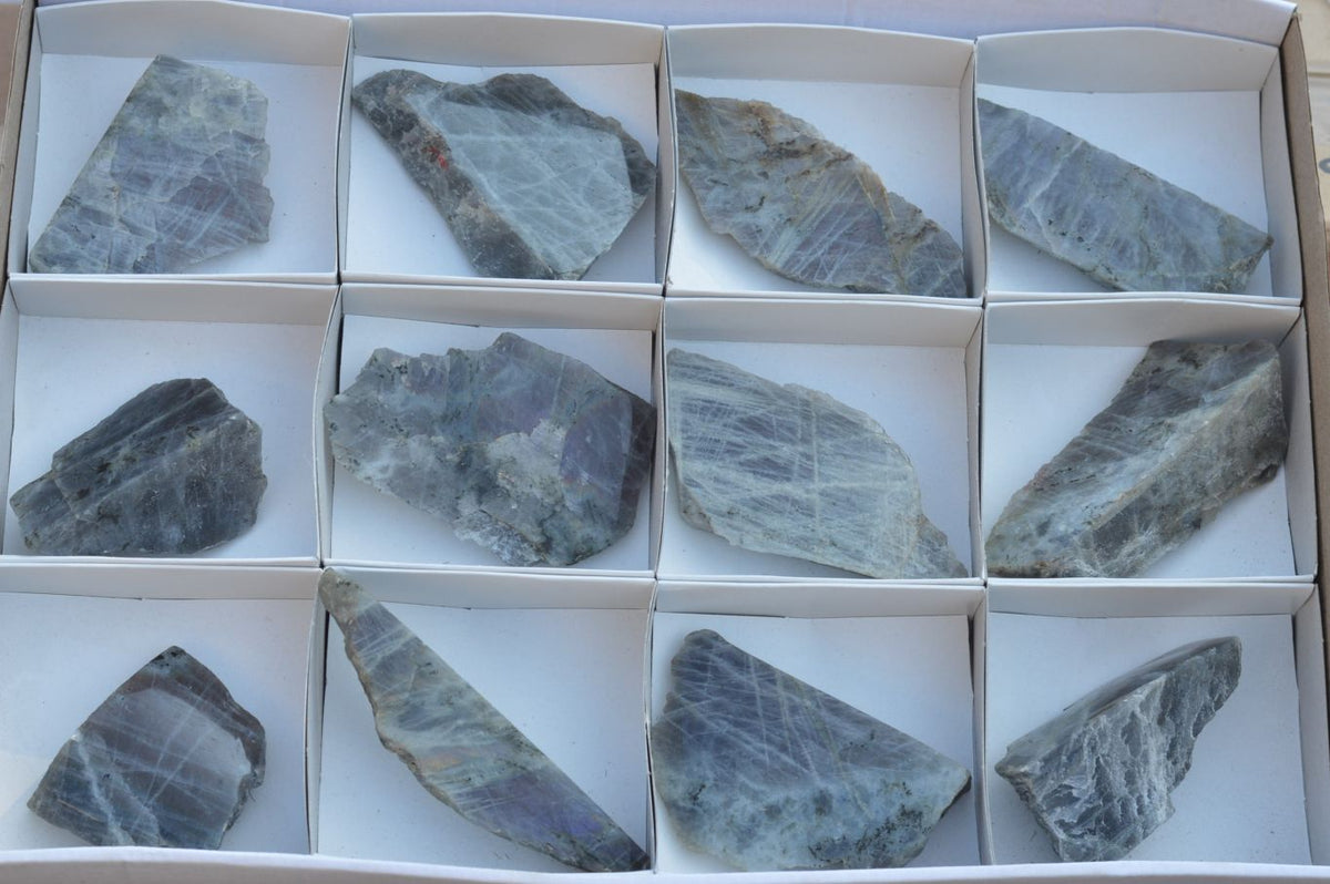 Polished One Side Polished Purple Labradorite Slices x 12 From Tulear, Madagascar - TopRock