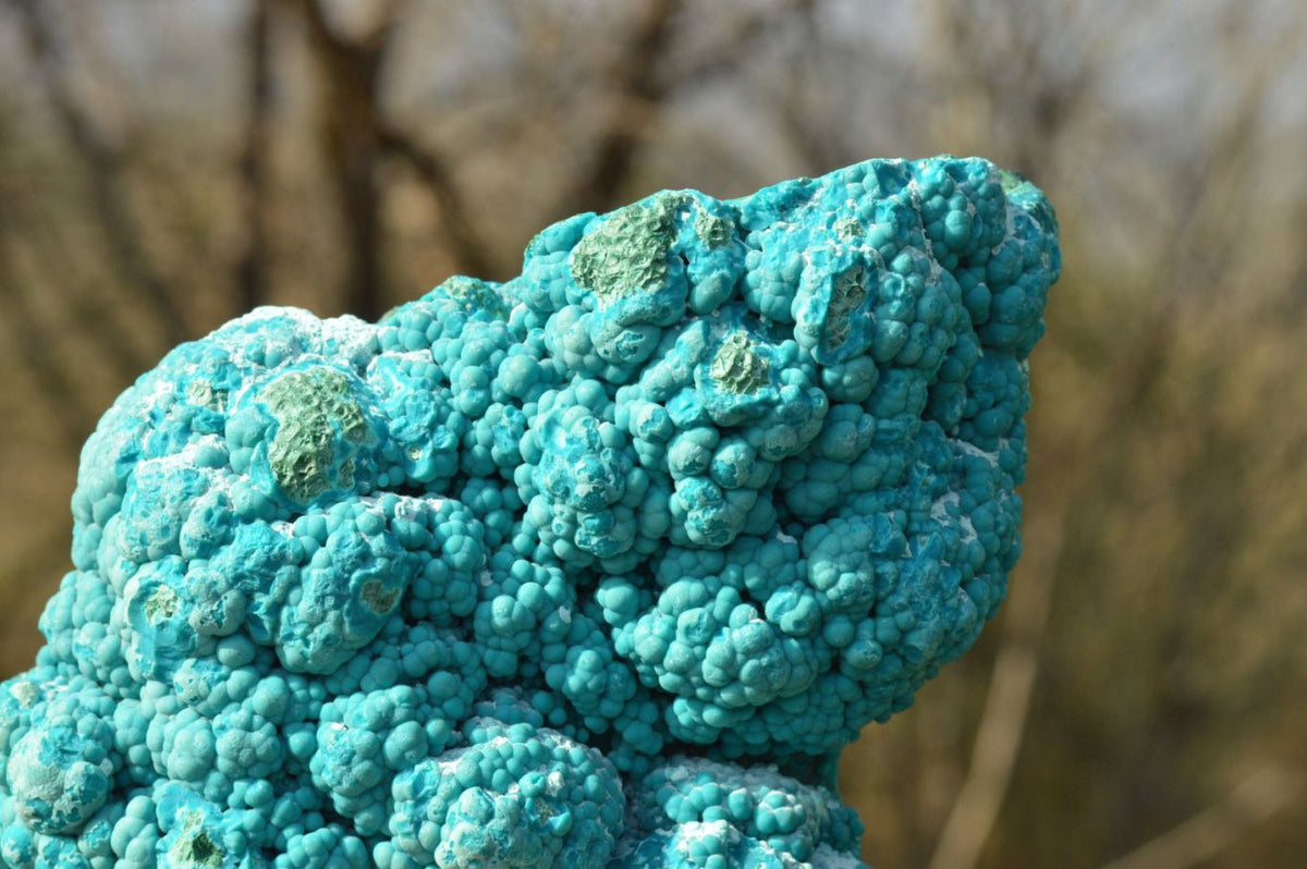 Natural Blue Botryoidal Chrysocolla Specimens x 2 From Kulukuluku, Congo - TopRock