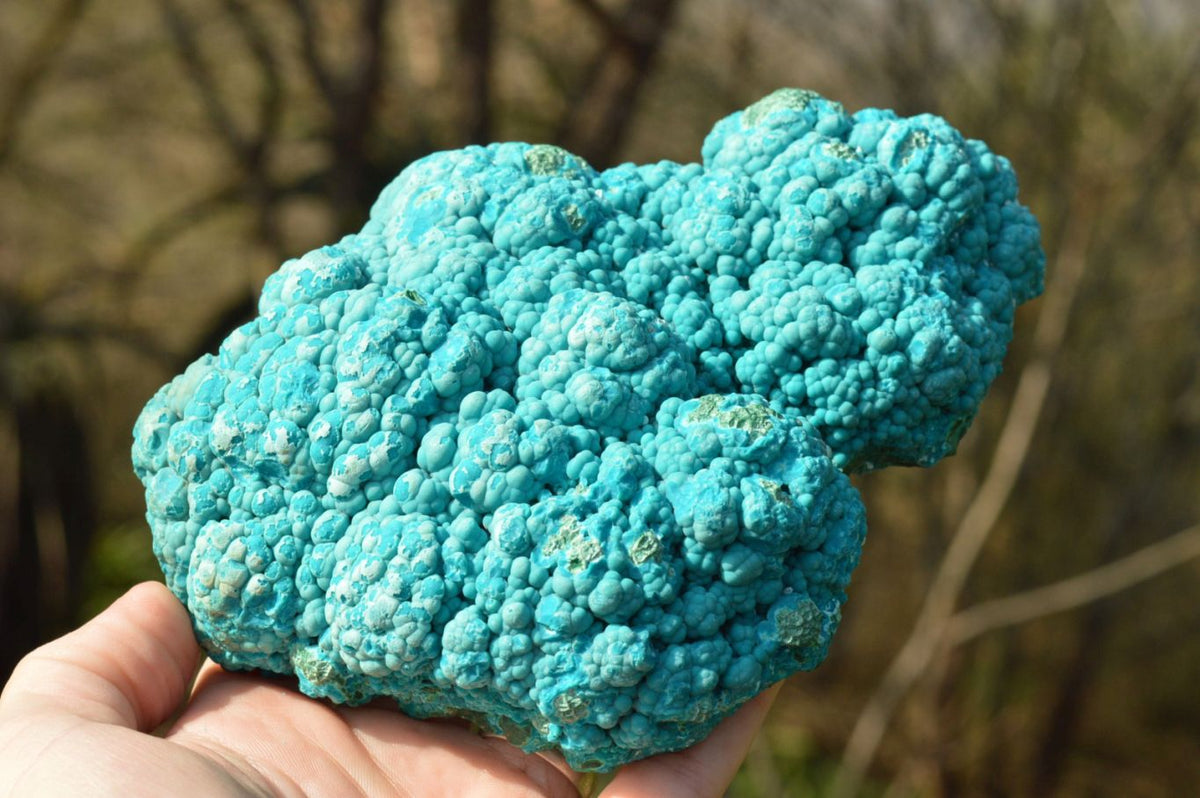 Natural Blue Botryoidal Chrysocolla Specimens x 2 From Kulukuluku, Congo - TopRock