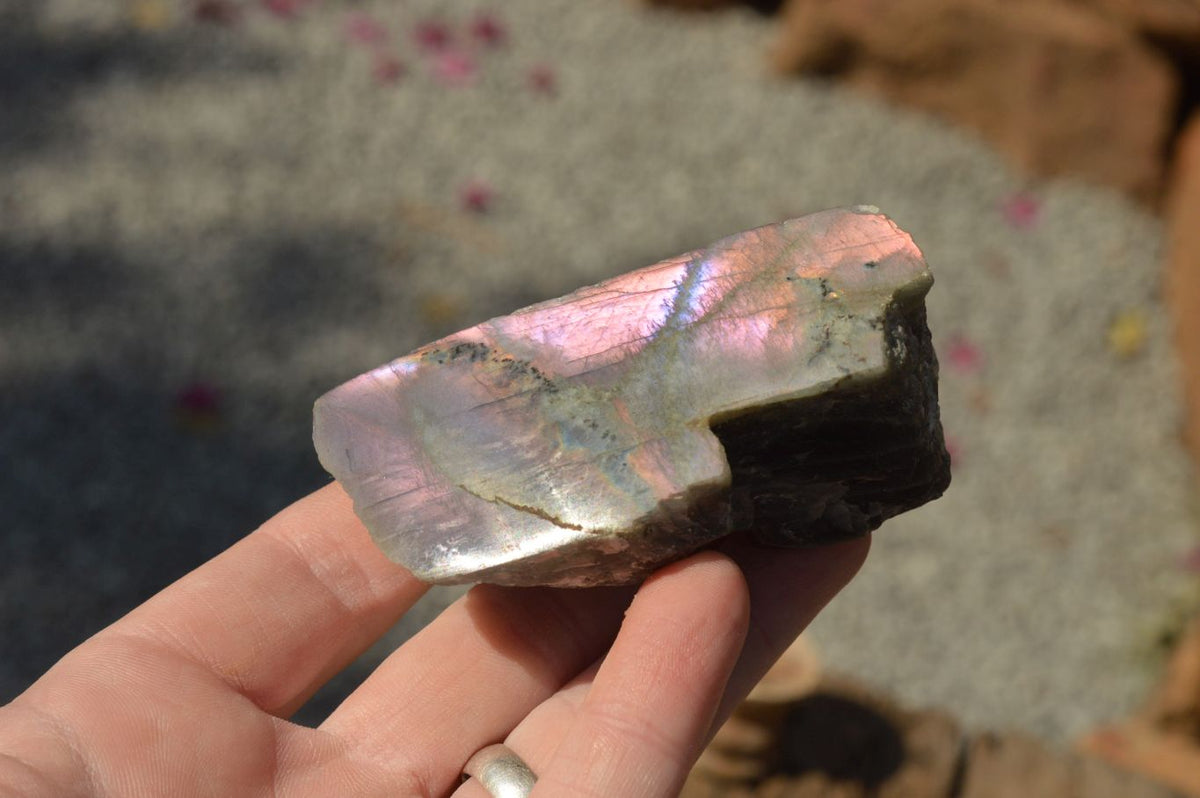 Polished One Side Polished Purple Labradorite Slices x 12 From Tulear, Madagascar - TopRock