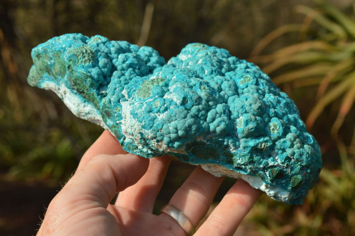 Natural Blue Botryoidal Chrysocolla Specimens x 2 From Kulukuluku, Congo - TopRock
