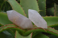 Polished Gemmy Double Terminated Rose Quartz Points x 6 From Antsirabe, Madagascar - Toprock Gemstones and Minerals
