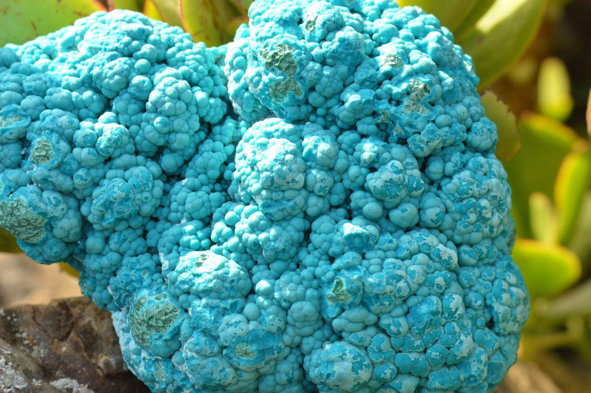 Natural Blue Botryoidal Chrysocolla Specimens x 2 From Kulukuluku, Congo - TopRock