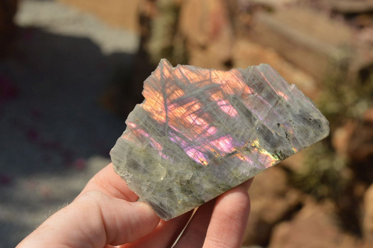 Polished One Side Polished Purple Labradorite Slices x 12 From Tulear, Madagascar - TopRock