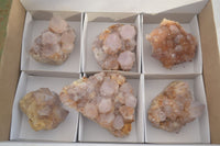 Natural Spirit Amethyst Quartz Clusters  x 6 From Boekenhouthoek, South Africa - Toprock Gemstones and Minerals