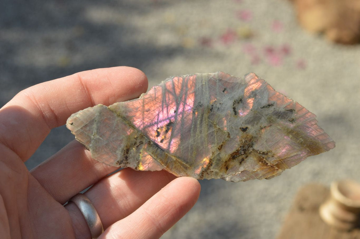 Polished One Side Polished Purple Labradorite Slices x 12 From Tulear, Madagascar - TopRock