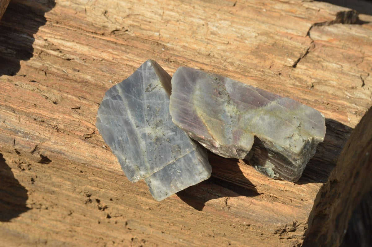 Polished One Side Polished Purple Labradorite Slices x 12 From Tulear, Madagascar - TopRock