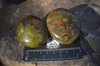 Polished Green Opal Galet / Palm Stones x 12 From Antsirabe, Madagascar - Toprock Gemstones and Minerals