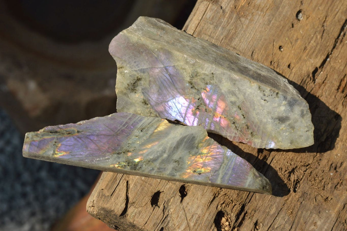 Polished One Side Polished Purple Labradorite Slices x 12 From Tulear, Madagascar - TopRock