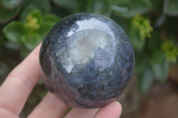 Polished Rare Iolite / Water Sapphire Spheres  x 2 From Madagascar - Toprock Gemstones and Minerals 