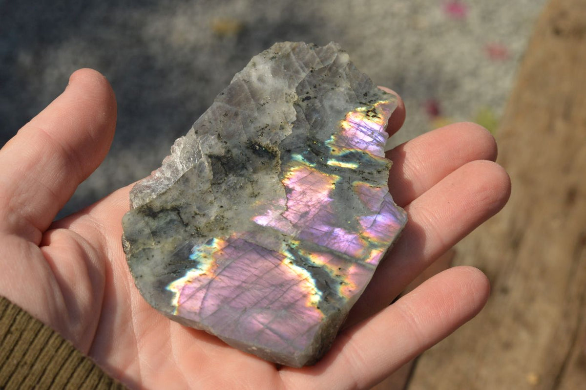 Polished One Side Polished Purple Labradorite Slices x 12 From Tulear, Madagascar - TopRock
