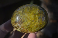 Polished Green Opal Galet / Palm Stones x 12 From Antsirabe, Madagascar - Toprock Gemstones and Minerals