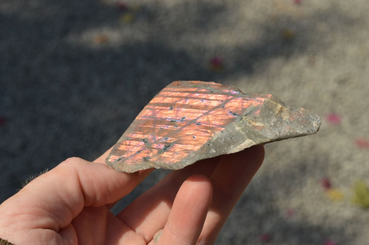Polished One Side Polished Purple Labradorite Slices x 12 From Tulear, Madagascar - TopRock